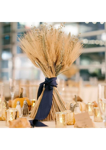 Kurutulmuş Buğday Sapları, Düğün Kravatlarını Süslemek Için 100 Sap Buğday Demetleri (Yurt Dışından) indirimleri