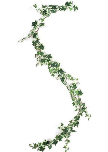 Yapay Yeşillik (Beyaz Sarmaşık) (Yurt Dışından)