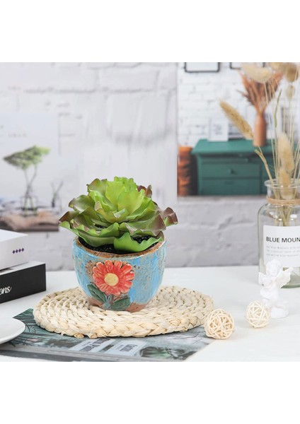 Esinti Parçası Simülasyon Etli Bonsai Yaratıcı Dekorasyon Çiçek Yemek Masası Kapalı Bitki (Yurt Dışından) modelleri