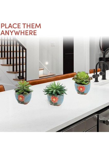 Esinti Parçası Simülasyon Etli Bonsai Yaratıcı Dekorasyon Çiçek Yemek Masası Kapalı Bitki (Yurt Dışından) fırsatları