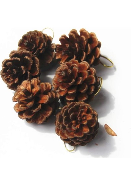 Besportble 12 Adet Çam Kozalakları Noel Ağacı Süslemeleri Çam Kozalakları Asılı 4 Ila 5c (Yurt Dışından) fırsatları