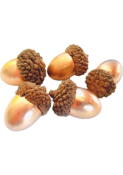 50'li Yapay Meşe Palamudu Paketi Altın Meşe Palamudu ve Doğal Meşe Palamudu Kapağı Sahte (Yurt Dışından)