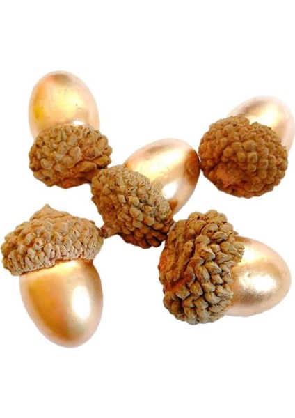 50'li Yapay Meşe Palamudu Paketi Altın Meşe Palamudu ve Doğal Meşe Palamudu Kapağı Sahte (Yurt Dışından) fiyatları