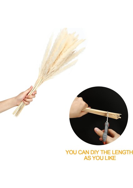 Esinti Paketi 15 Doğal Kurutulmuş Pampa Otu, Dekoratif Kurutulmuş Pampa Otu Kurutulmuş Çiçek (Yurt Dışından) modelleri