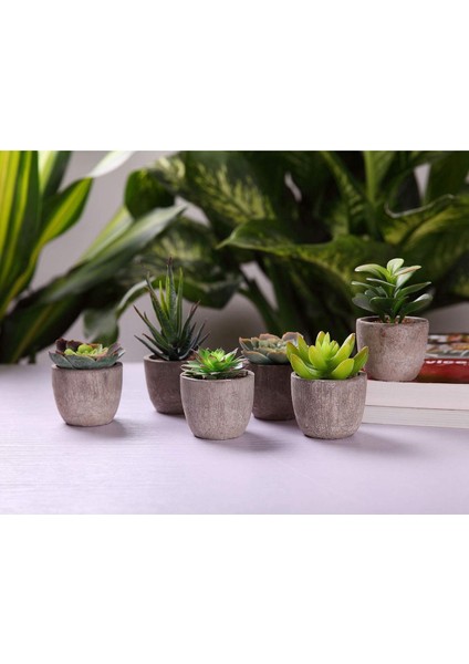 Doğal Saksı Bitkilerinde 6'lı Yapay Sulu Meyveler, Küçük Yapay Bitkiler (Yurt Dışından) fiyatları