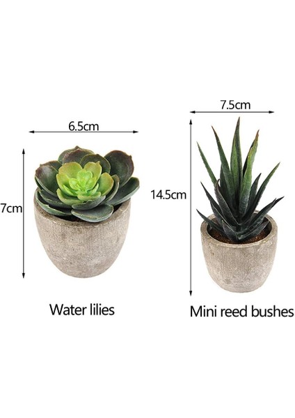 Doğal Saksı Bitkilerinde 6'lı Yapay Sulu Meyveler, Küçük Yapay Bitkiler (Yurt Dışından) fırsatları