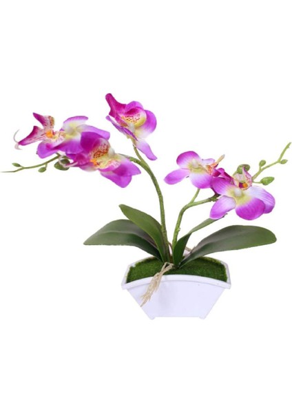 Esinti Yapay Bonsai Yapay Kelebek Orkide Bonsai Yapay Çiçek (Yurt Dışından) modelleri