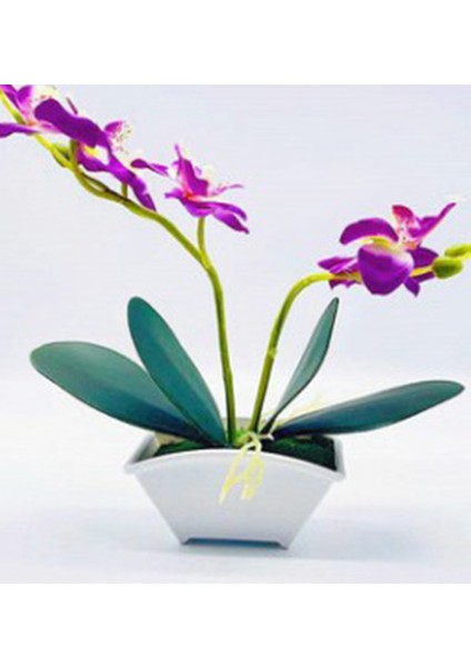 Esinti Yapay Bonsai Yapay Kelebek Orkide Bonsai Yapay Çiçek (Yurt Dışından) indirimleri