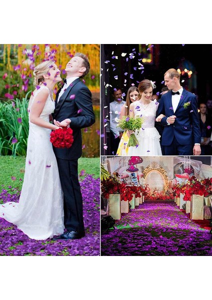 1000 Adet Yapay Gül Yaprakları (Koyu Mor) (Yurt Dışından) modelleri