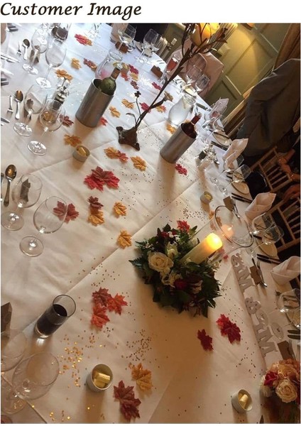 200 Adet Çok Renkli Yapay Akçaağaç Yaprağı Bitki Dekorasyonu (Yurt Dışından) fırsatları