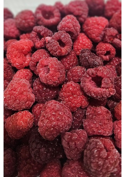 Dondurulmuş Frambuaz (Ahududu) Iri – Jumbo Boy 1 kg