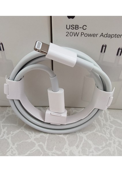 Ipad Pro 12.9 Inç (1.nesil) Şarj Kablosu Lightning Usb-C