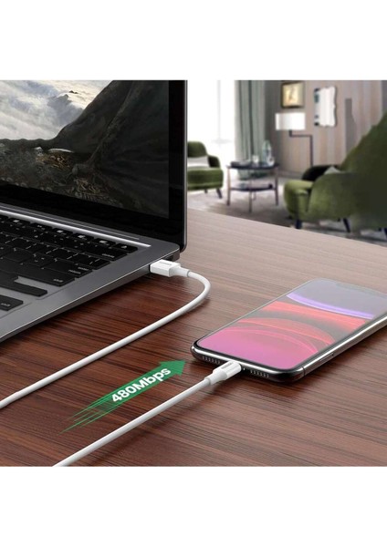 Lightning - USB-A MFi Sertifikalı İphone Hızlı Şarj Kablosu, 2 m, Siyah, 80823