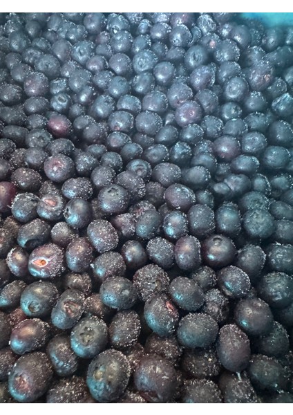 Premium Iri Boy Dondurulmuş Yaban Mersini 1 kg