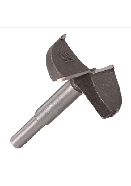 Hss Forstner Bit Ahşap Matkaplar Sanat Matkapları Boru Matkapları 55 mm (Yurt Dışından) fiyatları