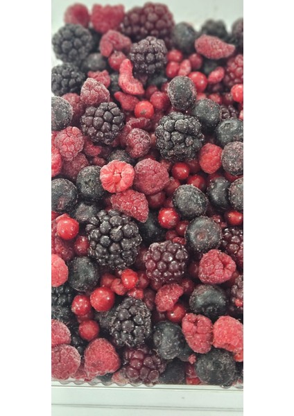 Yeni Karışık Orman Meyveleri Paketi 1 kg (Yaban Mersini, Ahududu, Böğürtlen, Frenk Üzümü) fiyatları
