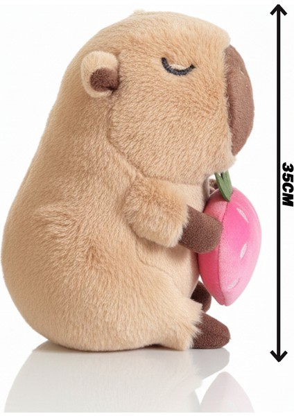 Capybara Çilek Seri 35 cm - Koleksiyon & Yumuşacık fırsatları