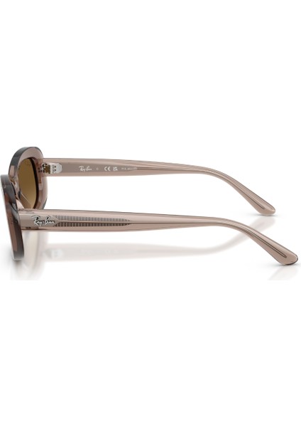 Rayban RB2221 6827M2 53 Unısex Güneş Gözlüğü
