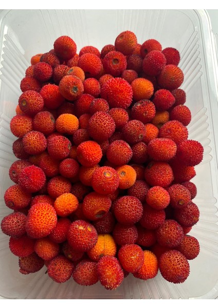 Dondurulmuş Kocayemiş ( Dağ Çileği ) 1 kg