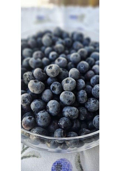 Premium Iri Boy Dondurulmuş Yaban Mersini 1 kg fiyatları