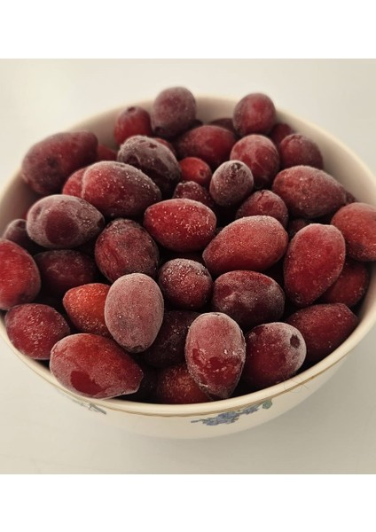 Dondurulmuş Kızılcık 1 kg fiyatları
