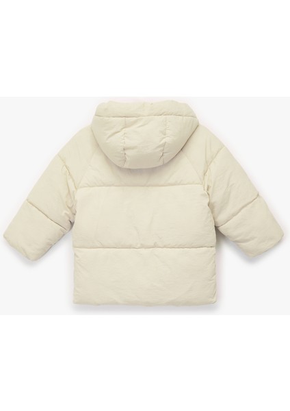 Kapşonlu Cepli Uzun Kollu Fermuarlı Şişme Mont fiyatları