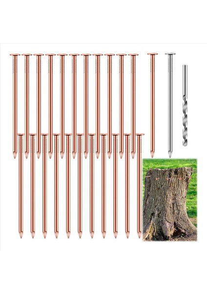 75 Pcs Bakır Tırnaklar Ağaçları Öldürme 3 5 Inç Saf Bakır Tırnaklar Toplu Güdük Çıkarma Çivileri Ağaçlar Için Donanım Tırnakları (Yurt Dışından) fiyatları