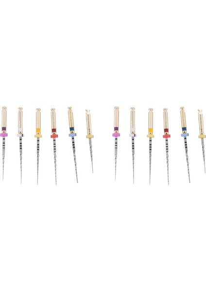 X-Pro Gold Protaper Niti Rotary Dosyaları 12 Pcs Endo Kontrollü Bellek Dosyaları (Çeşitli 25MM) (Yurt Dışından)