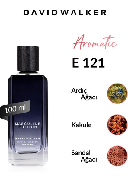 E121 Sepeek 100 ml Erkek Parfüm | Aromatic