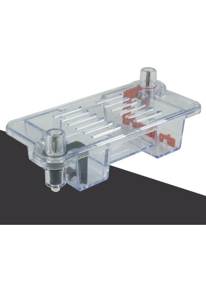 Yatay Elektroforez Tankı Jel Deney Biyolojik Öğretim Deneysel Enstrüman Deneysel Öğretim Aracı (Yurt Dışından) fiyatları