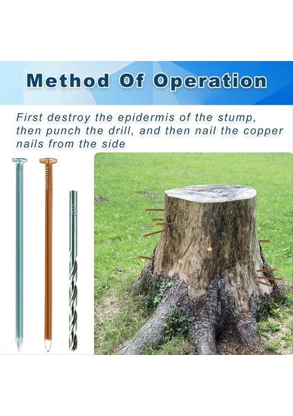 Bakır Tırnaklar Öldürme Ağaçları 3 5 Inç Saf Bakır Tırnaklar Toplu Kütük Çıkarma Çivileri Donanım Çivileri Ağaçlar Için (Yurt Dışından) modelleri
