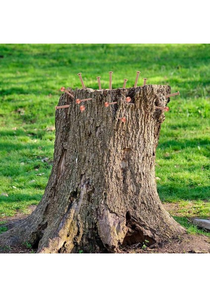 3 5 Inç Saf Bakır Çivi Dökme Kütük Çıkarma Sivri Uçlar Donanım Çivileri Ağaçlar Için (Yurt Dışından) fiyatları