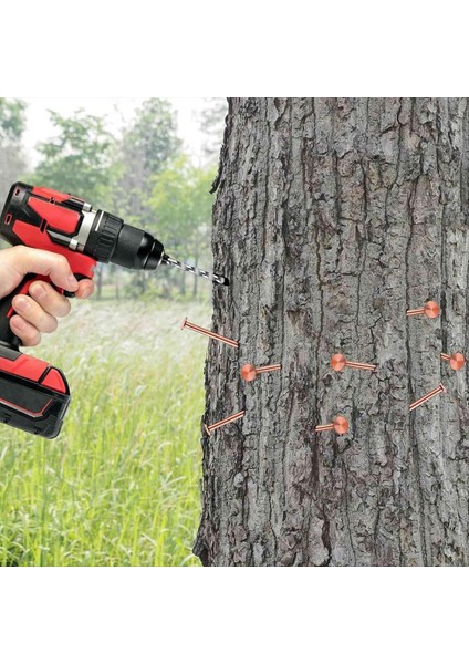 3 5 Inç Saf Bakır Çivi Dökme Kütük Çıkarma Sivri Uçlar Donanım Çivileri Ağaçlar Için (Yurt Dışından) fırsatları