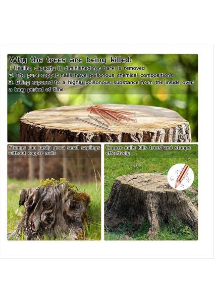 3 5 Inç Saf Bakır Çivi Dökme Kütük Çıkarma Sivri Uçlar Donanım Çivileri Ağaçlar Için (Yurt Dışından) indirimleri