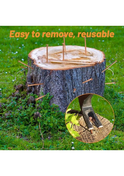 Ağaç Güdük Köklerini Öldürmek Için 25 Adet Bakır Çivi 3 15 Inç Bakır Çivi Matkap Ağaçlar Için Kazık Çıkarma Çivi (Yurt Dışından) fiyatları