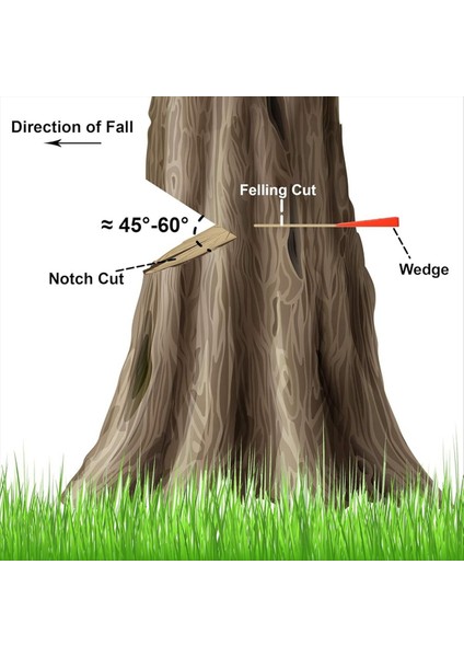 Güvenli Ağaç Kesme Için 6 Adet Ağaç Kesme Takozları 2 10 Inç 8 Inç ve 6 Inçlik Takozların Her Biri Depolama Torbası ile (Yurt Dışından) fırsatları