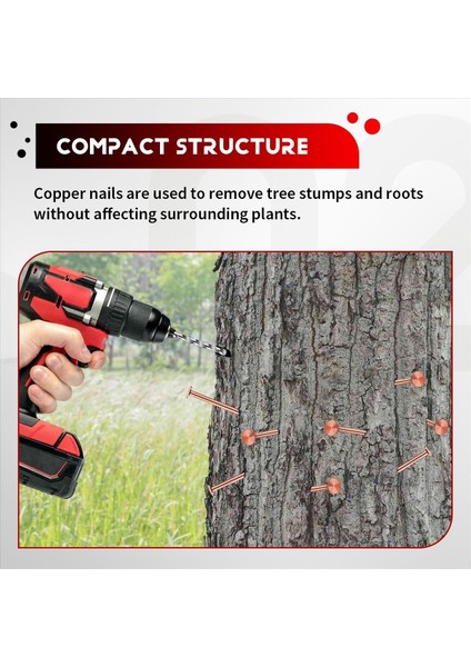 25 Adet Bakır Çivi Ağaçları Öldürmek Için 3 5 Inç Saf Bakır Tırnaklar Dökme Güdük Çıkarma Sivri Uçlar Donanım Çivileri Ağaçlar Için (Yurt Dışından) indirimleri