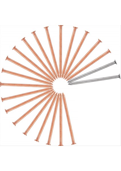 20PCS Ağaçları Öldürmek Için Bakır Çivi Kütük Kök 3 5 Inç Uzunluğunda Tırnak Sivri Uçlar 2 Adet Çelik Çivilerle Güdük Çıkarma Sivri Uçları (Yurt Dışından)