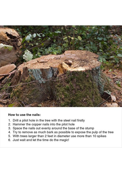 20PCS Ağaçları Öldürmek Için Bakır Çivi Kütük Kök 3 5 Inç Uzunluğunda Tırnak Sivri Uçlar 2 Adet Çelik Çivilerle Güdük Çıkarma Sivri Uçları (Yurt Dışından) fırsatları