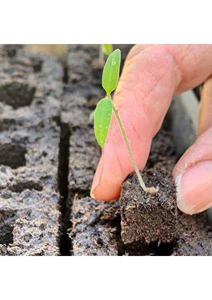 Küçük Clol Maker 20 Ingrıds Manuel Clod Maker Elde Tohum Blok Yapma Aracı Metal Bahçe Minyatür Clod Maker (Yurt Dışından) fırsatları