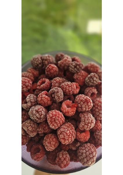 Dondurulmuş Vişne (Çekirdeksiz) 1 kg