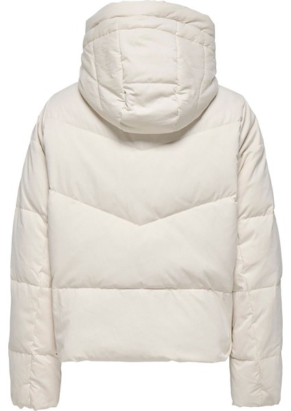 Kadın Clara Down Mont fiyatları