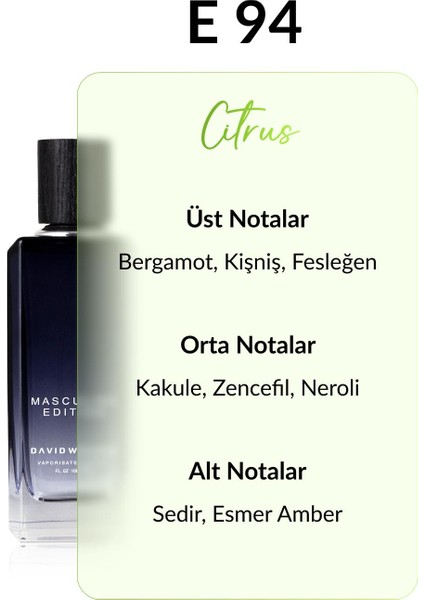 E94 Sure 100 ml Erkek Parfüm | Citrus fiyatları