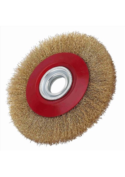 1pcs 8 Inç 200MM Çelik Düz Tel Tekerleği Fırça 10 Adet Tezgah Koyinli Cilası Için Adaptör Halkaları (Yurt Dışından) fırsatları