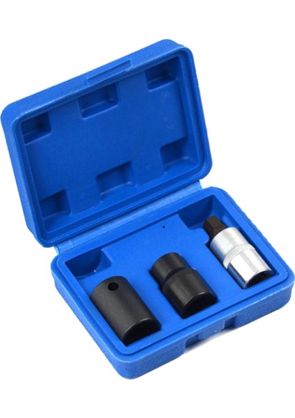 Pentagon Soket Seti 3 Pcs 5 Point Penta Soketi 5 Taraflı Soket ve Mavi Kasayla Bit Seti (Yurt Dışından)