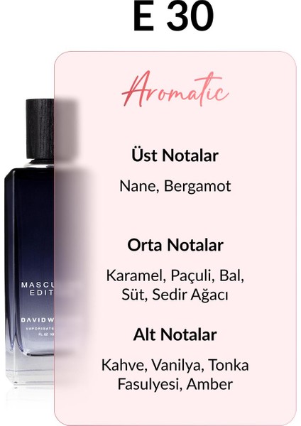 E30 Caravel 100 ml Erkek Parfüm | Aromatic fiyatları