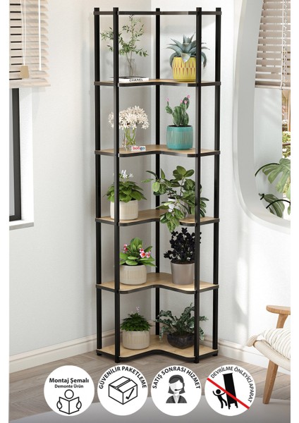 6 Raflı Çiçeklik Rafı Saksılık Standı Dekoratif Aksesuar Rafı Saksılık Sardes Safir Meşe