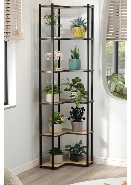 6 Raflı Çiçeklik Rafı Saksılık Standı Dekoratif Aksesuar Rafı Saksılık Sardes Safir Meşe fiyatları