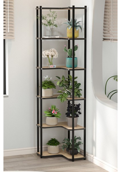 6 Raflı Çiçeklik Rafı Saksılık Standı Dekoratif Aksesuar Rafı Saksılık Sardes Safir Meşe modelleri