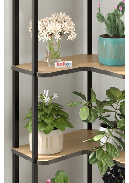 6 Raflı Çiçeklik Rafı Saksılık Standı Dekoratif Aksesuar Rafı Saksılık Sardes Safir Meşe fırsatları